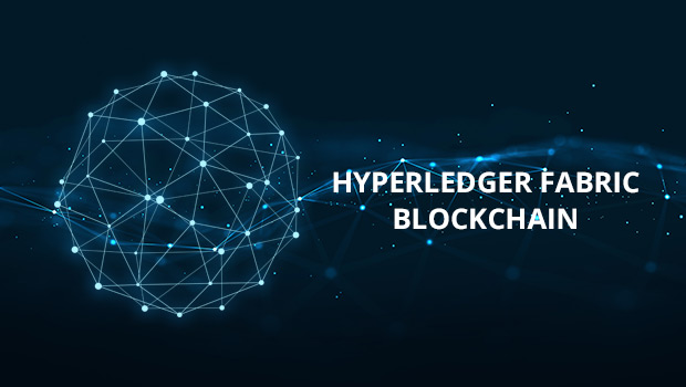 Privacy & Security Built on the Hyperledger Fabric Blockchain