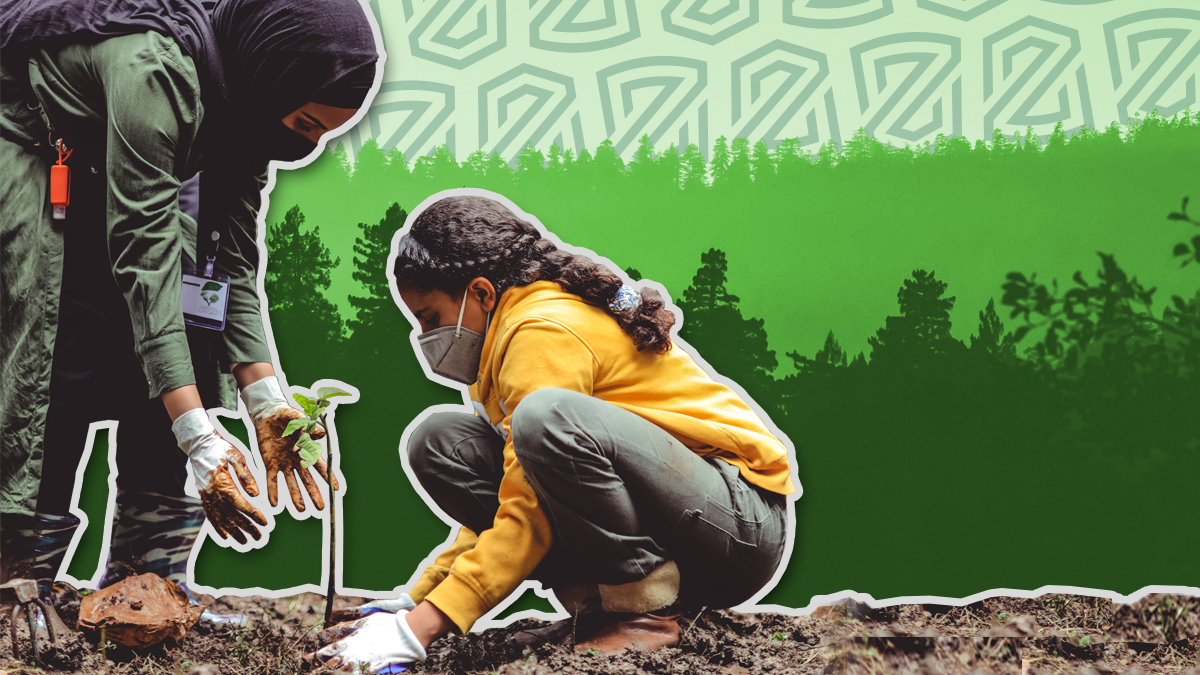 How to Live Sustainability for World Environment Day?